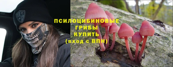 прущие крисы Алексеевка